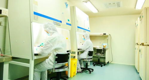 秦創(chuàng)原上話發(fā)展丨這個(gè)B+A級(jí)GMP生物實(shí)驗(yàn)室，投用在即 惟物實(shí)驗(yàn)室